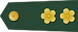 中校 Zhōngxiào insignia