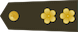 中校 Zhōngxiào insignia