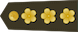 上校 Shàngxiào insignia