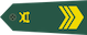 中士 Zhōngshi insignia