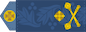 Бригадний генерал (Bryhadnyy heneral) insignia
