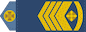 Головний майстер-сержант (Holovnyi maister-serzhant) insignia