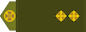 Лейтенант (Leitenant) insignia