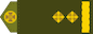 Підполковник (Pidpolkovnyk) insignia