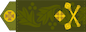 Бригадний генерал (Bryhadnyi heneral) insignia