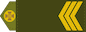 Сержант (Serzhant) insignia