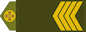 Старший сержант (Starshyi serzhant) insignia