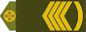 Головний сержант (Holovnyi serzhant) insignia