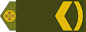 Штаб-сержант (Shtab-serzhant) insignia