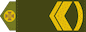 Майстер-сержант (Maister-serzhant) insignia