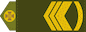 Старший майстер-сержант (Starshyi maister-serzhant) insignia