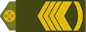 Головний майстер-сержант (Holovnyi maister-serzhant) insignia