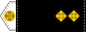 Лейтенант (Leytenant) insignia