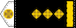 Полковник (Polkovnyk) insignia