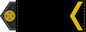 Старший солдат (Starshyy soldat) insignia