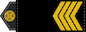Старший сержант (Starshyy serzhant) insignia