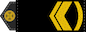 Майстер-сержант (Mayster-serzhant) insignia