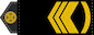 Старший майстер-сержант (Starshyy mayster-serzhant) insignia
