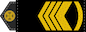 Головний майстер-сержант (Holovnyy mayster-serzhant) insignia