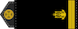Молодший лейтенант (Molodshyy leytenant) insignia