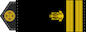 Старший лейтенант (Starshyy leytenant) insignia
