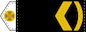 Штаб-старшина (Shtab-starshyna) insignia