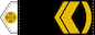Майстер-старшина (Mayster-starshyna) insignia