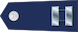 Captain insignia