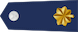 Major insignia