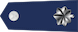 Lieutenant colonel insignia