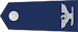 Colonel insignia