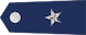 Brigadier general insignia