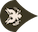 Specialist insignia