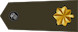 Major insignia