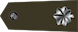 Lieutenant colonel insignia