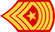 Sergeant major insignia