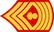Master gunnery sergeant insignia