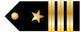 Commander insignia