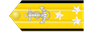 Vice admiral insignia