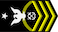 Senior chief petty officer insignia